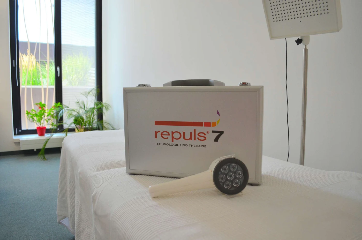 REPULS – Foto der bestehenden Website